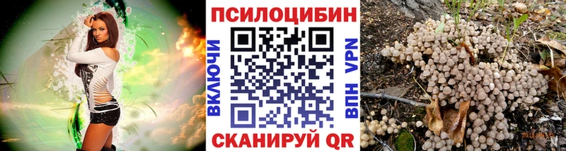 Галлюциногенные грибы GOLDEN TEACHER  где купить наркотик  Таштагол 
